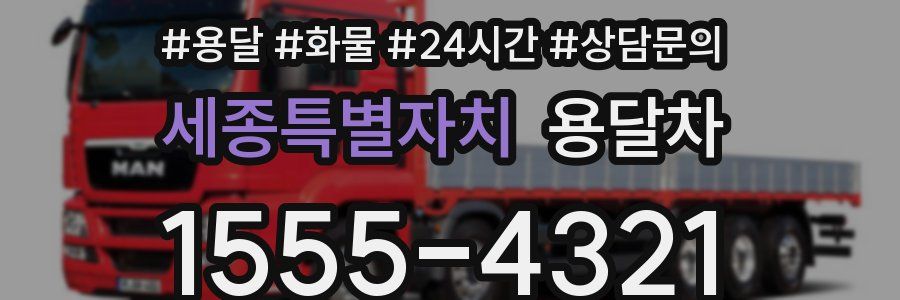 세종특별자치 용달차