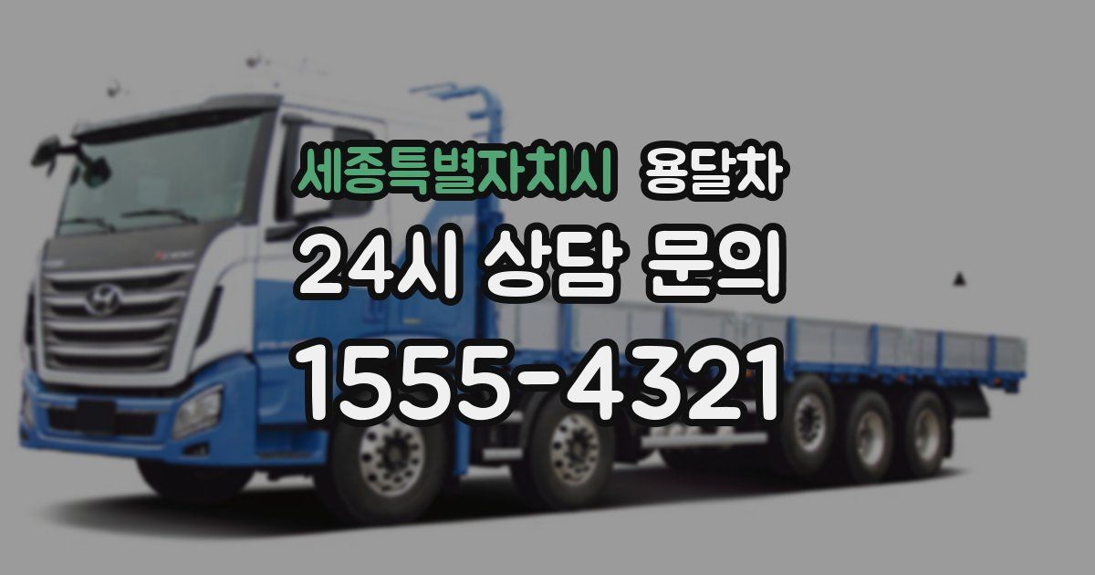 세종특별자치시 용달차