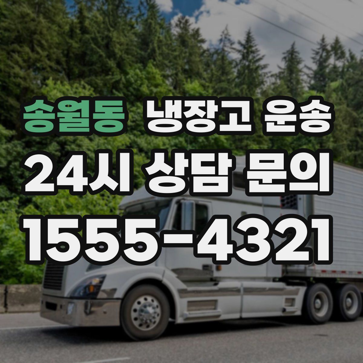 송월동 냉장고 운송