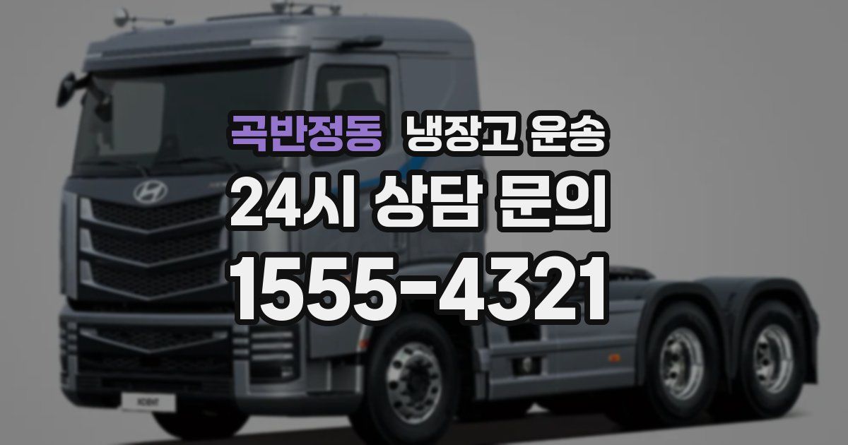 곡반정동 냉장고 운송