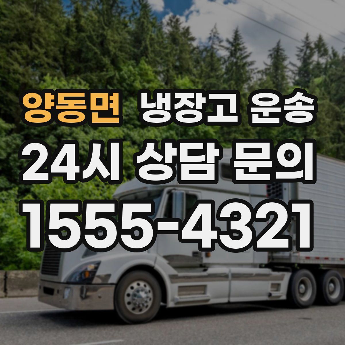 양동면 냉장고 운송