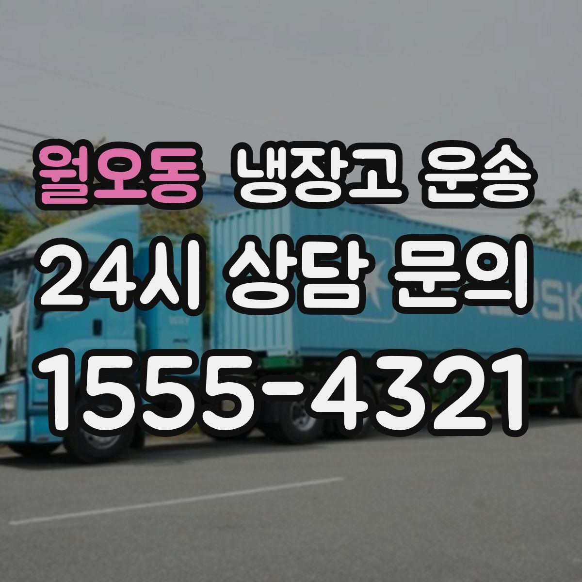 월오동 냉장고 운송