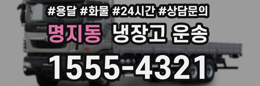 명지동 냉장고 운송