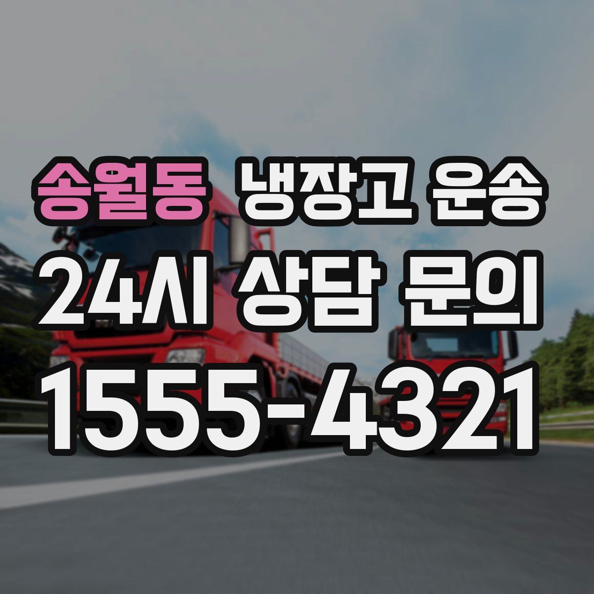 송월동 냉장고 운송