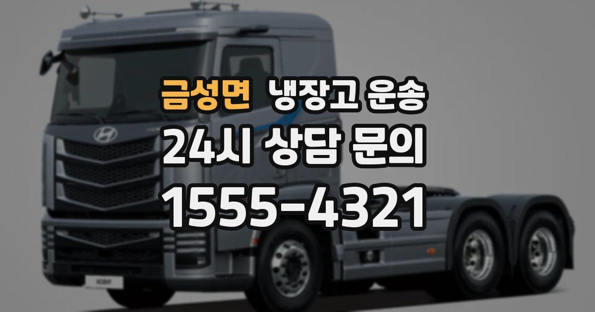 금성면 냉장고 운송