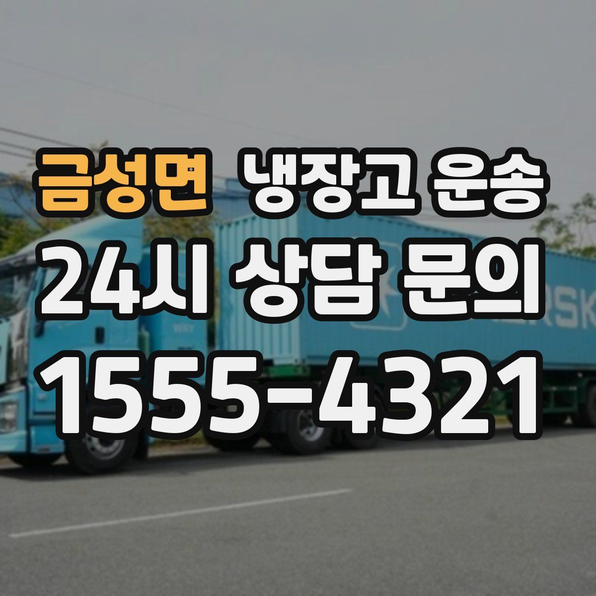 금성면 냉장고 운송