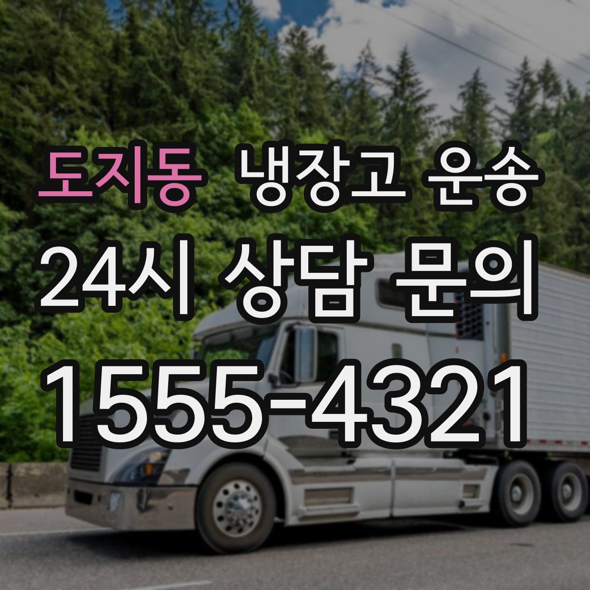 도지동 냉장고 운송