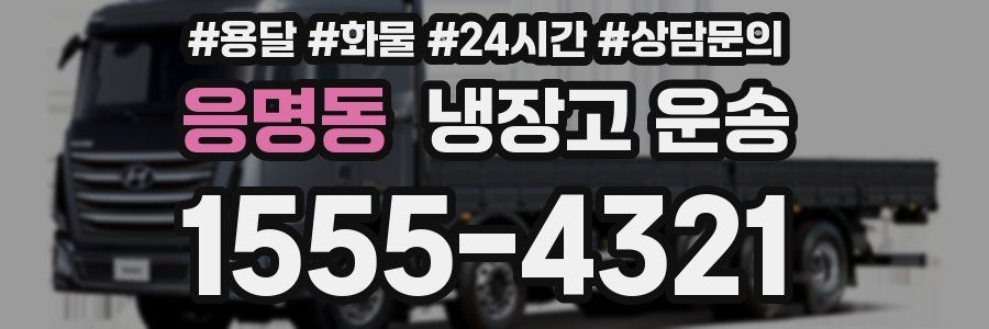응명동 냉장고 운송