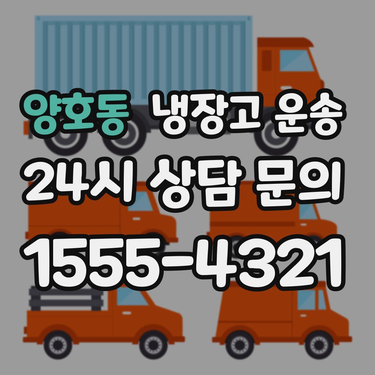 양호동 냉장고 운송