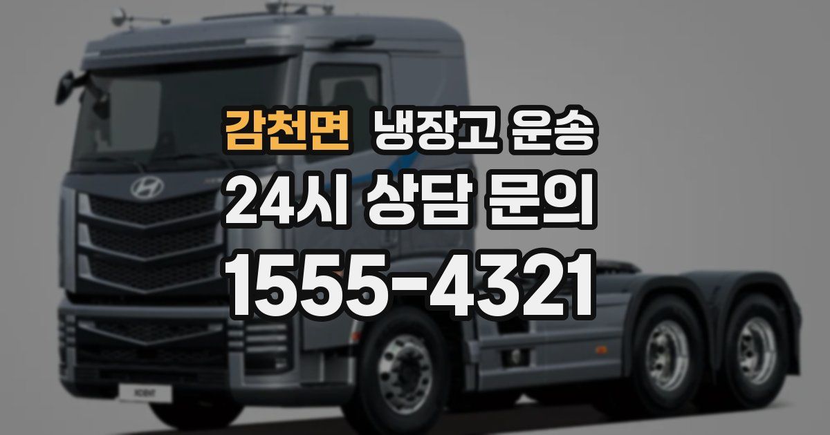 감천면 냉장고 운송