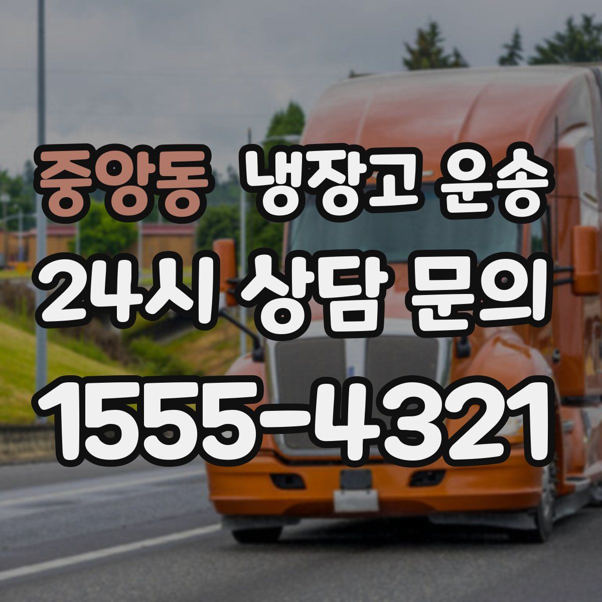 중앙동 냉장고 운송