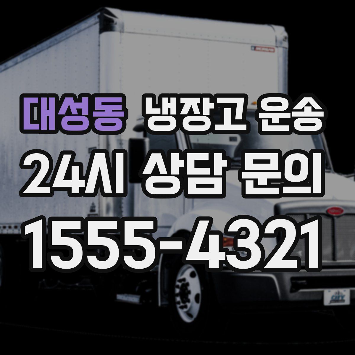 대성동 냉장고 운송
