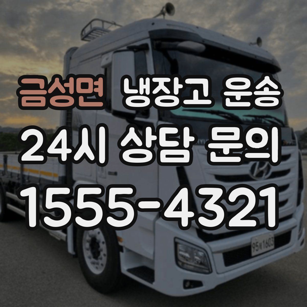 금성면 냉장고 운송
