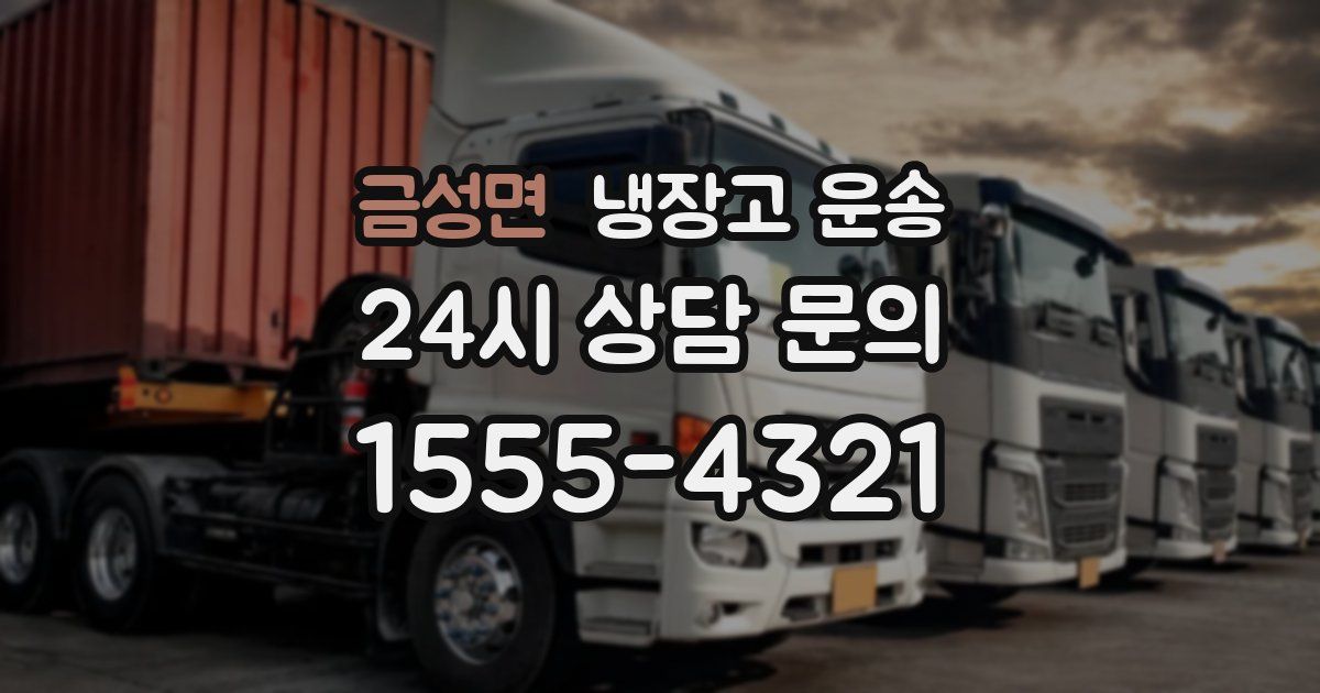 금성면 냉장고 운송