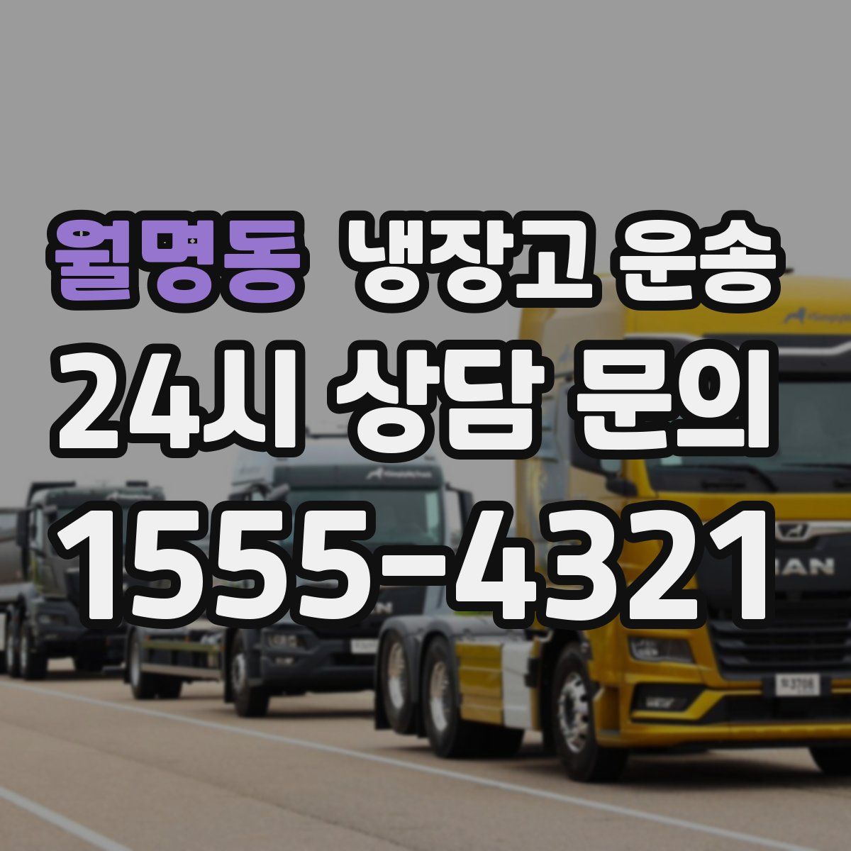 월명동 냉장고 운송