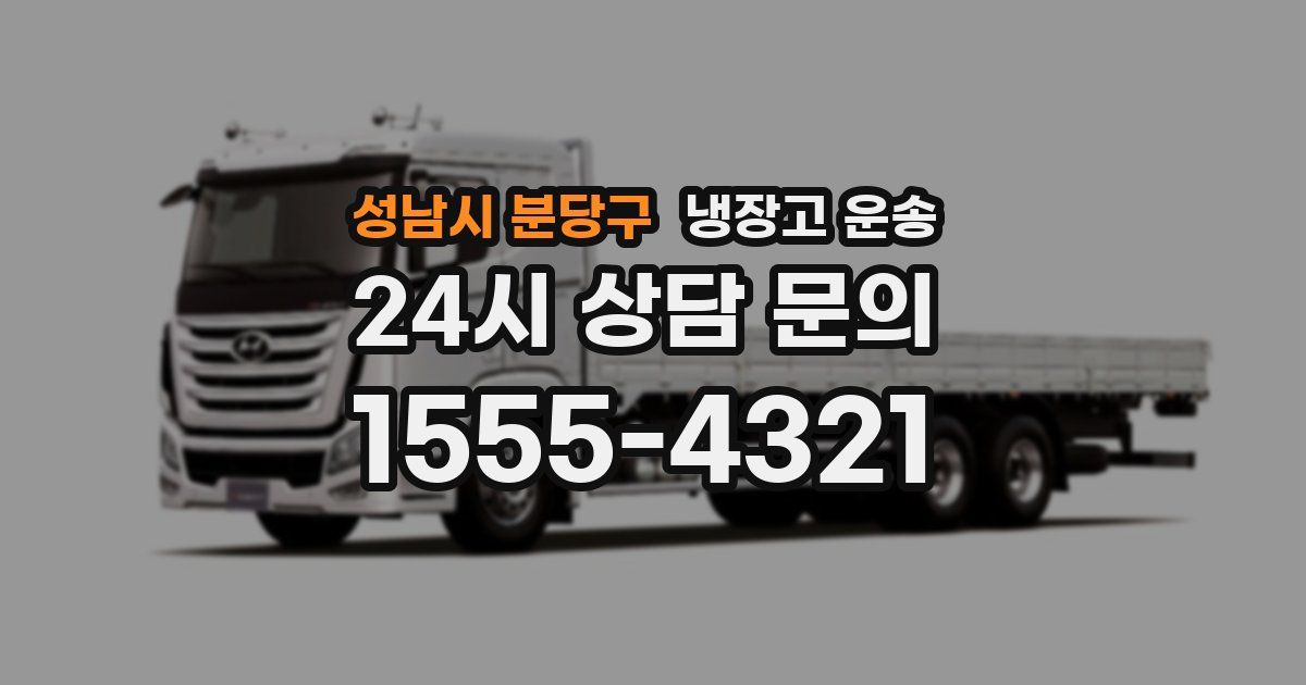 성남시 분당구 냉장고 운송
