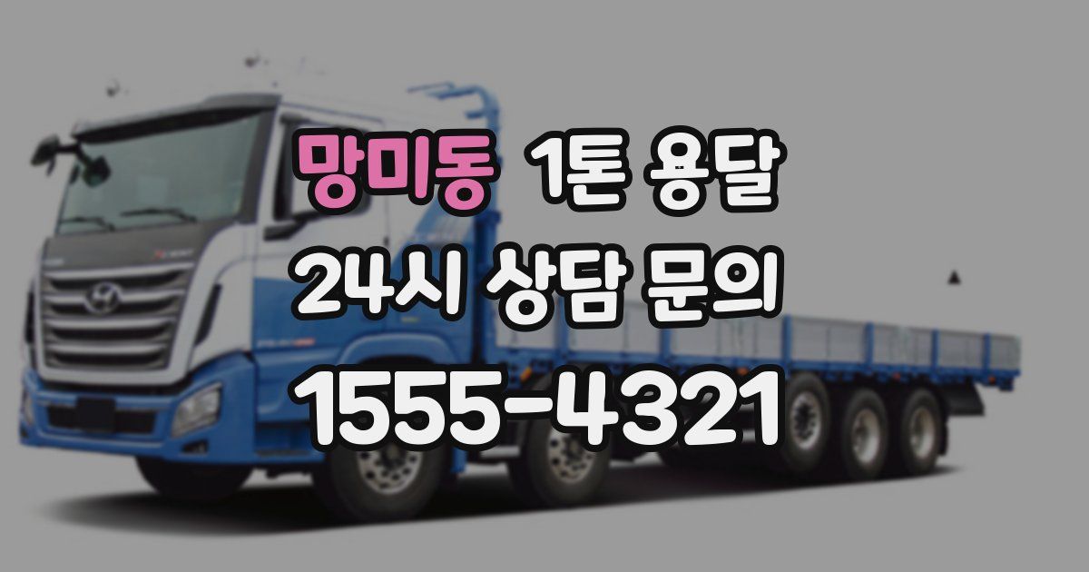 망미동 1톤 용달
