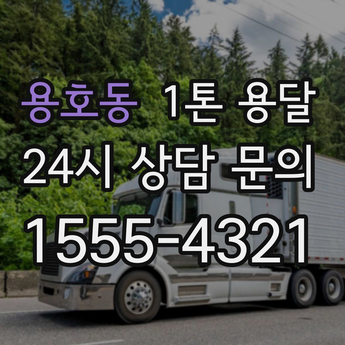 용호동 1톤 용달