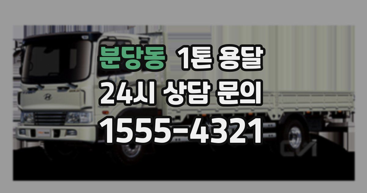 분당동 1톤 용달