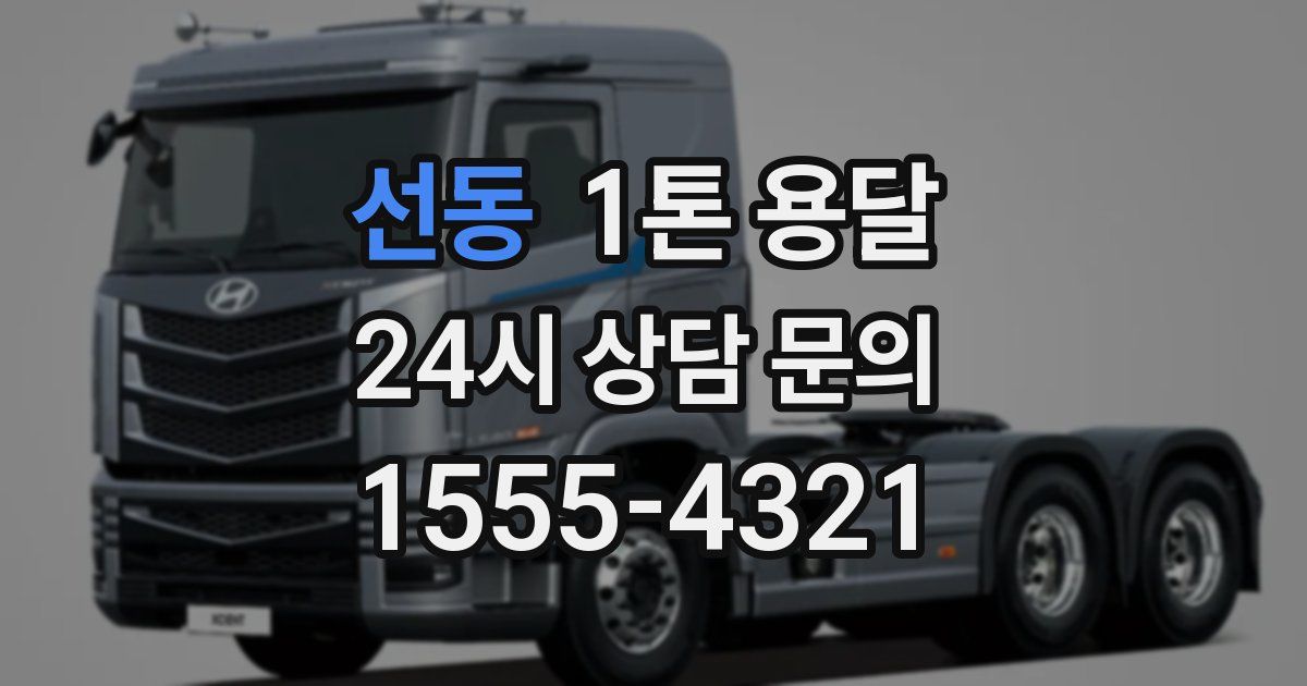 선동 1톤 용달