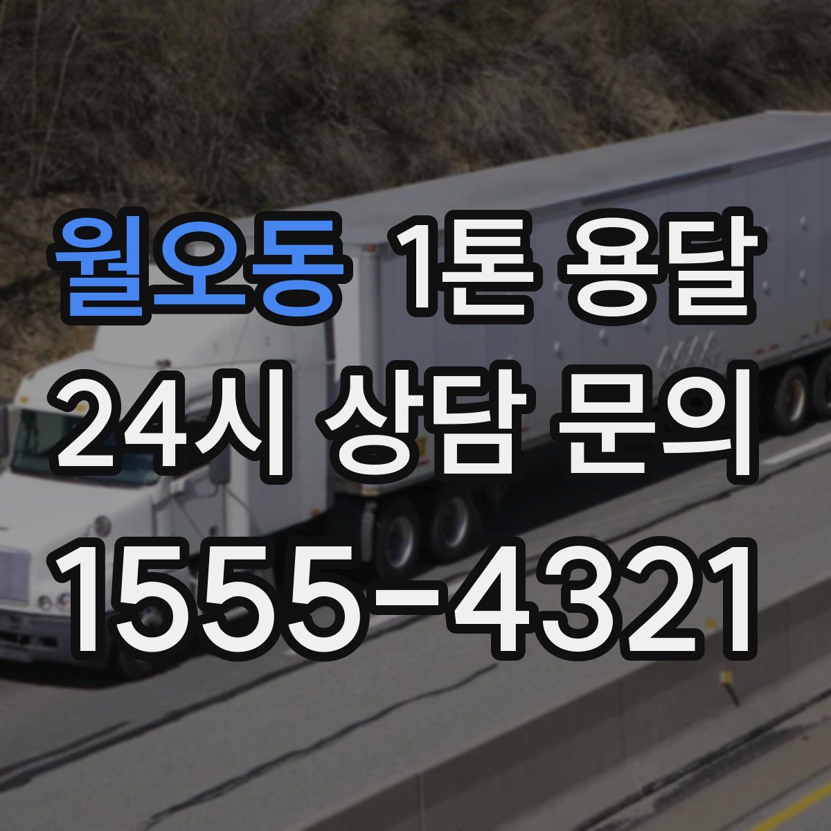 월오동 1톤 용달
