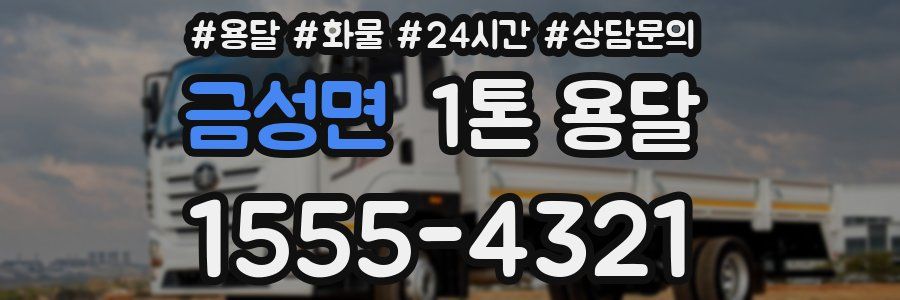 금성면 1톤 용달