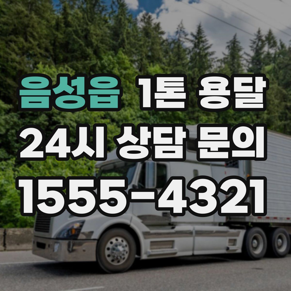 음성읍 1톤 용달