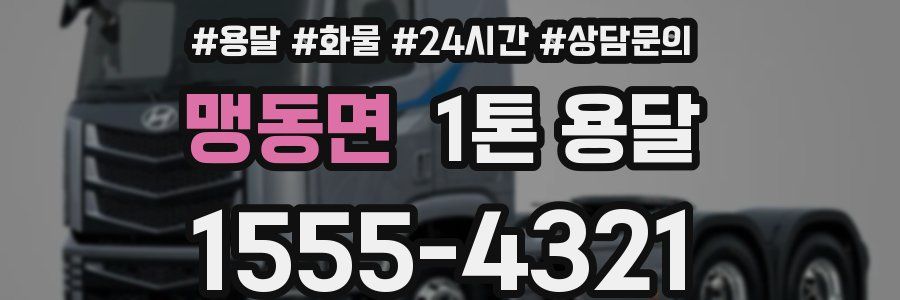 맹동면 1톤 용달