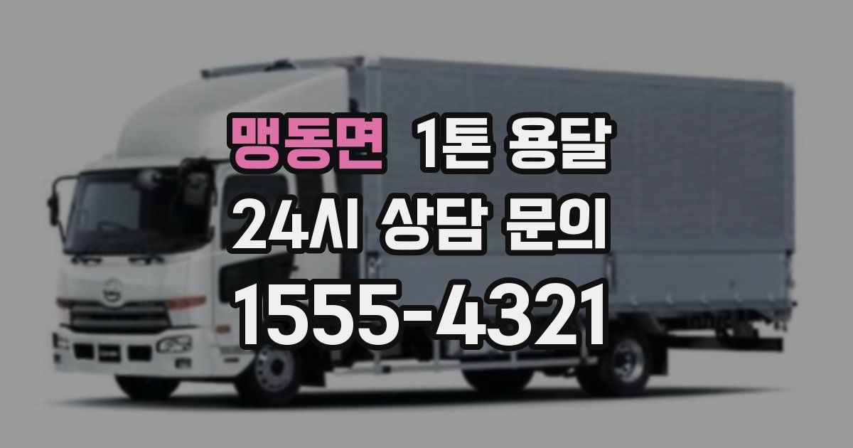 맹동면 1톤 용달
