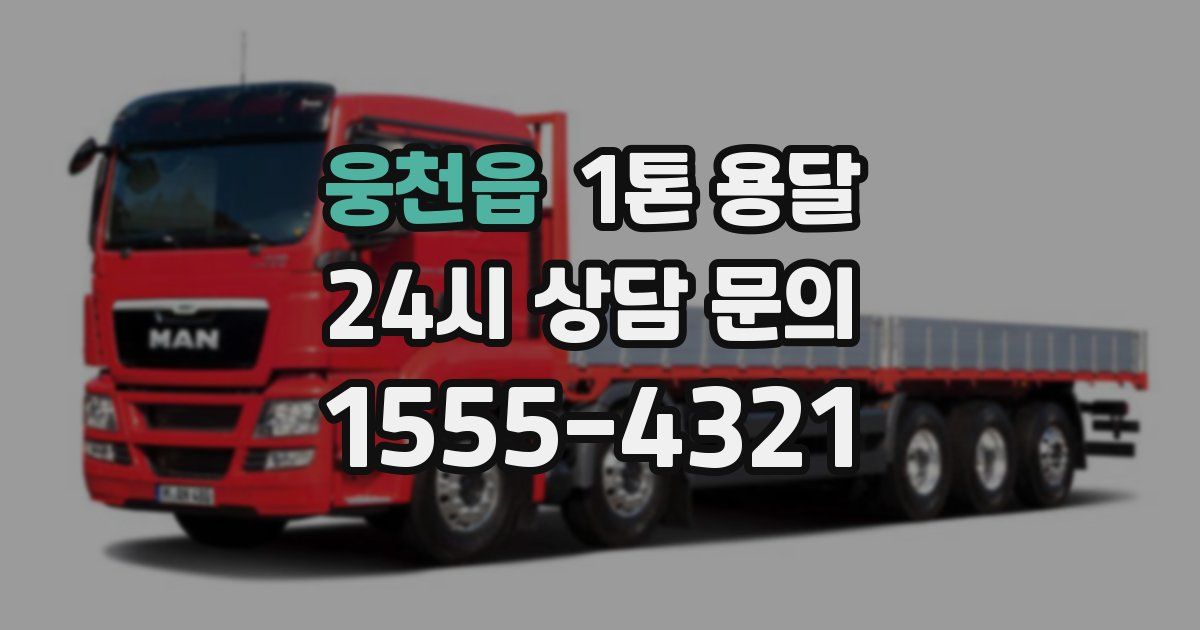 웅천읍 1톤 용달