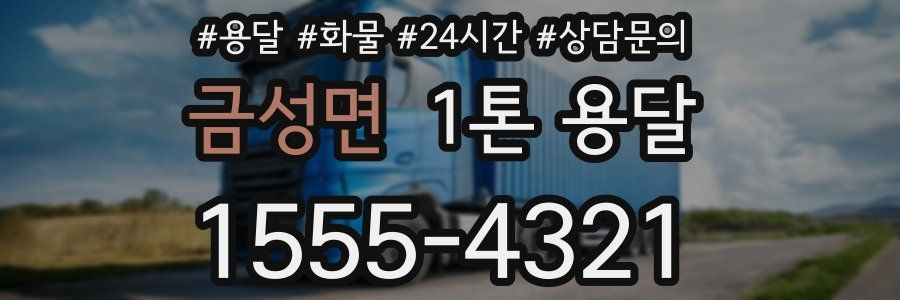 금성면 1톤 용달