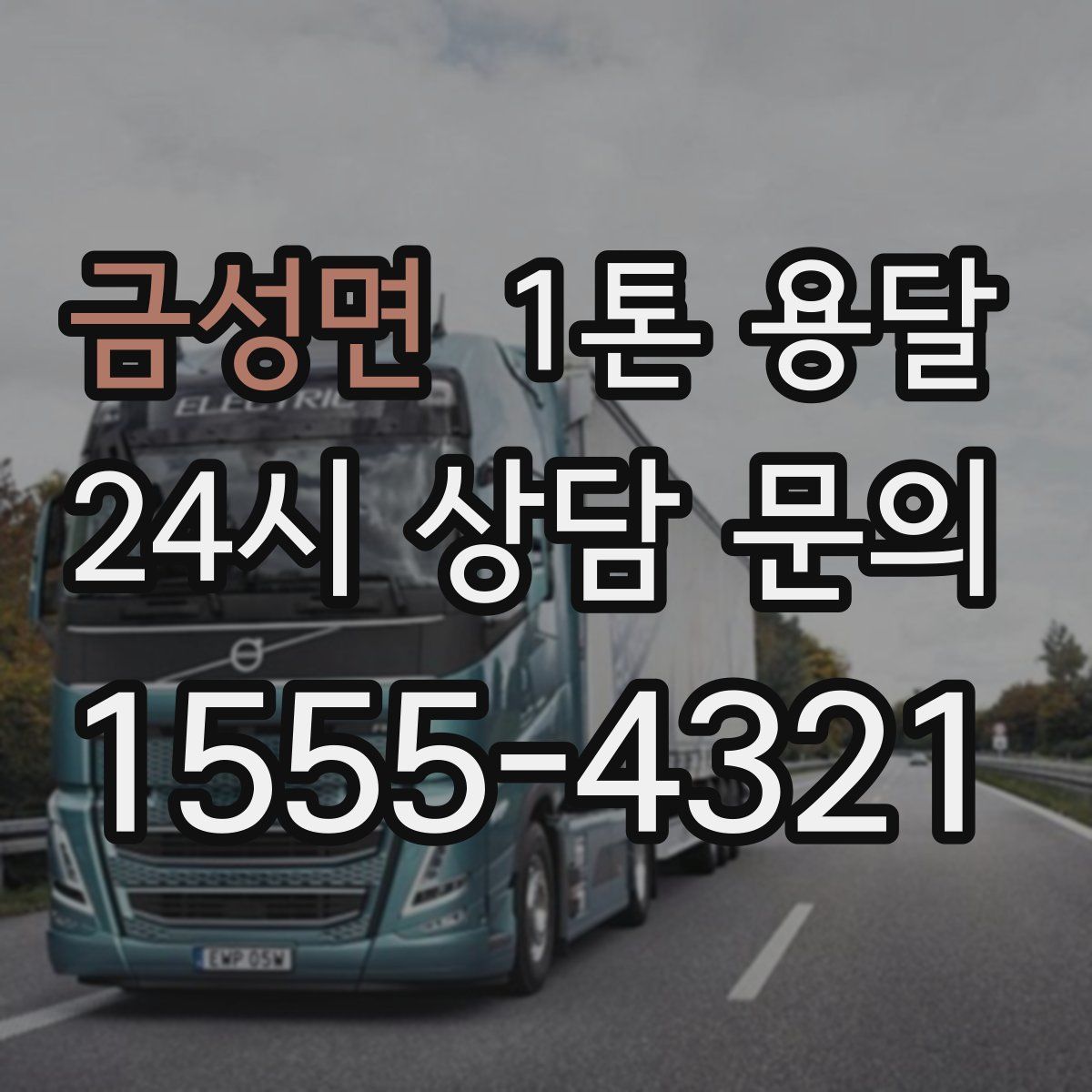 금성면 1톤 용달