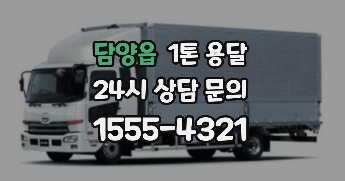 담양읍 1톤 용달