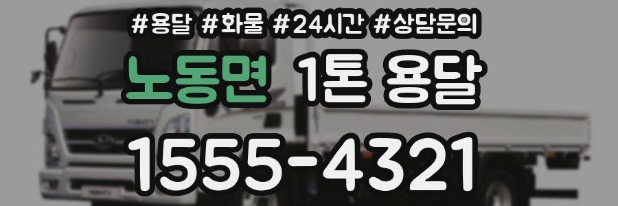 노동면 1톤 용달