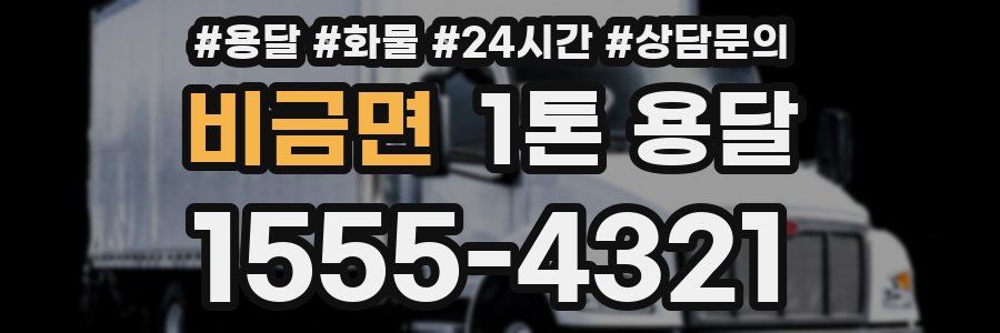 비금면 1톤 용달