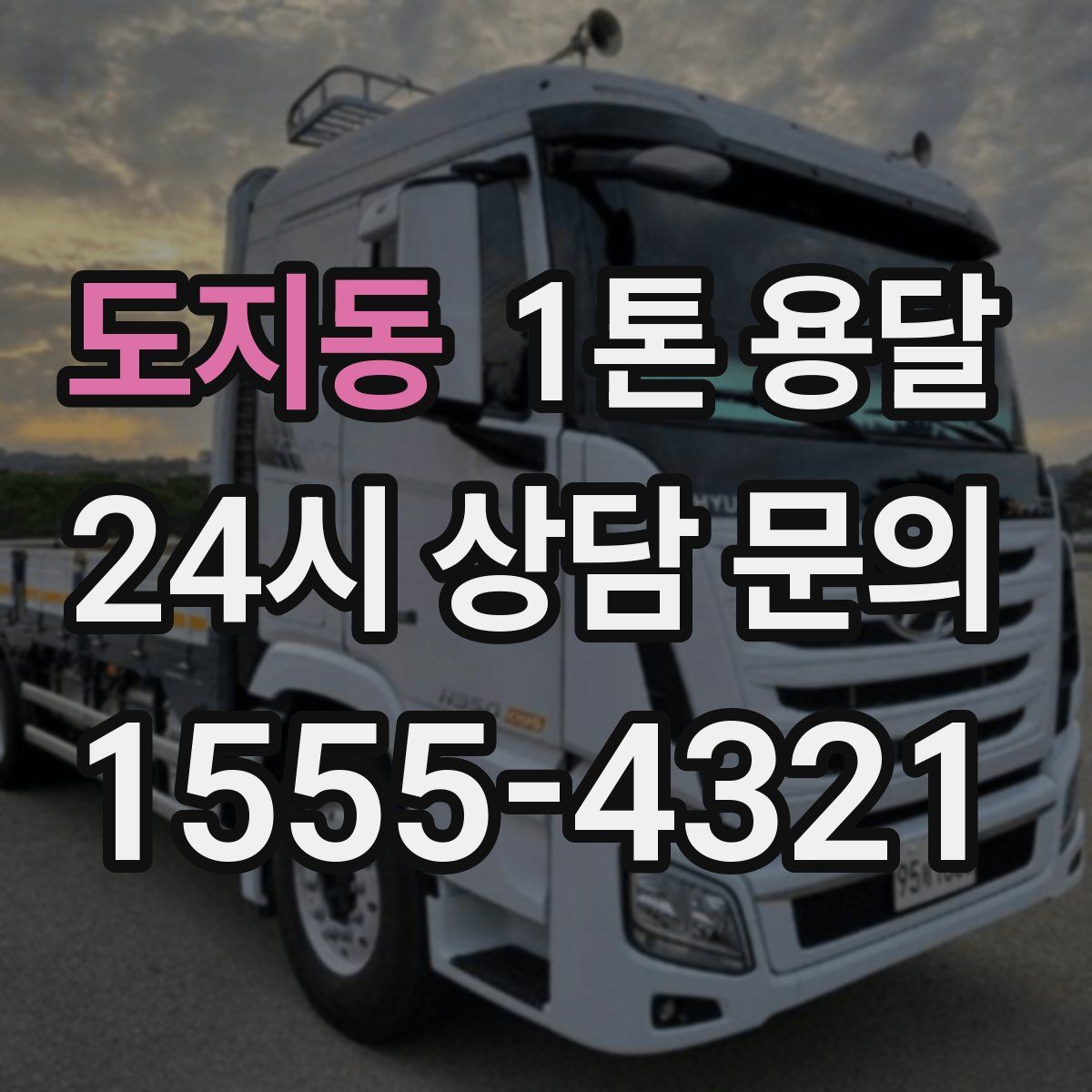 도지동 1톤 용달