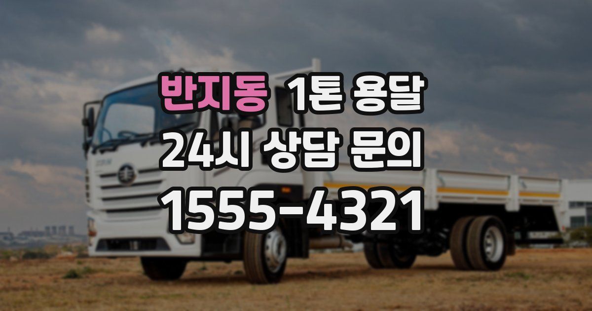 반지동 1톤 용달