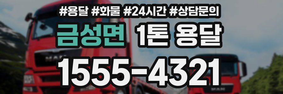 금성면 1톤 용달