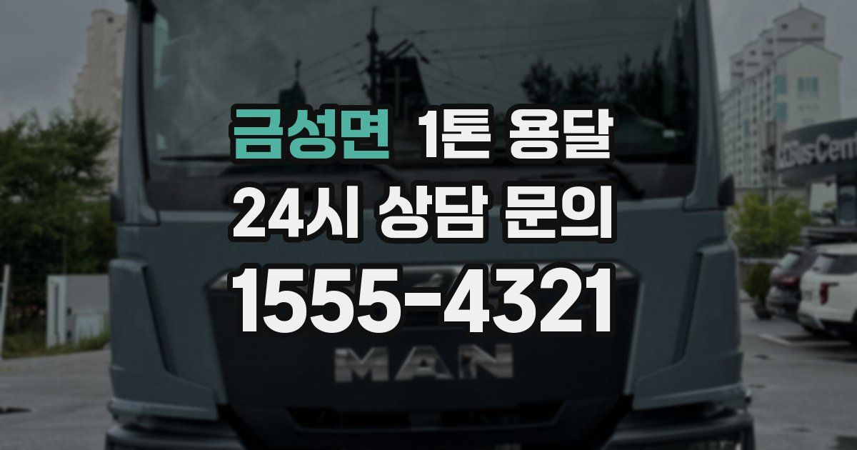 금성면 1톤 용달
