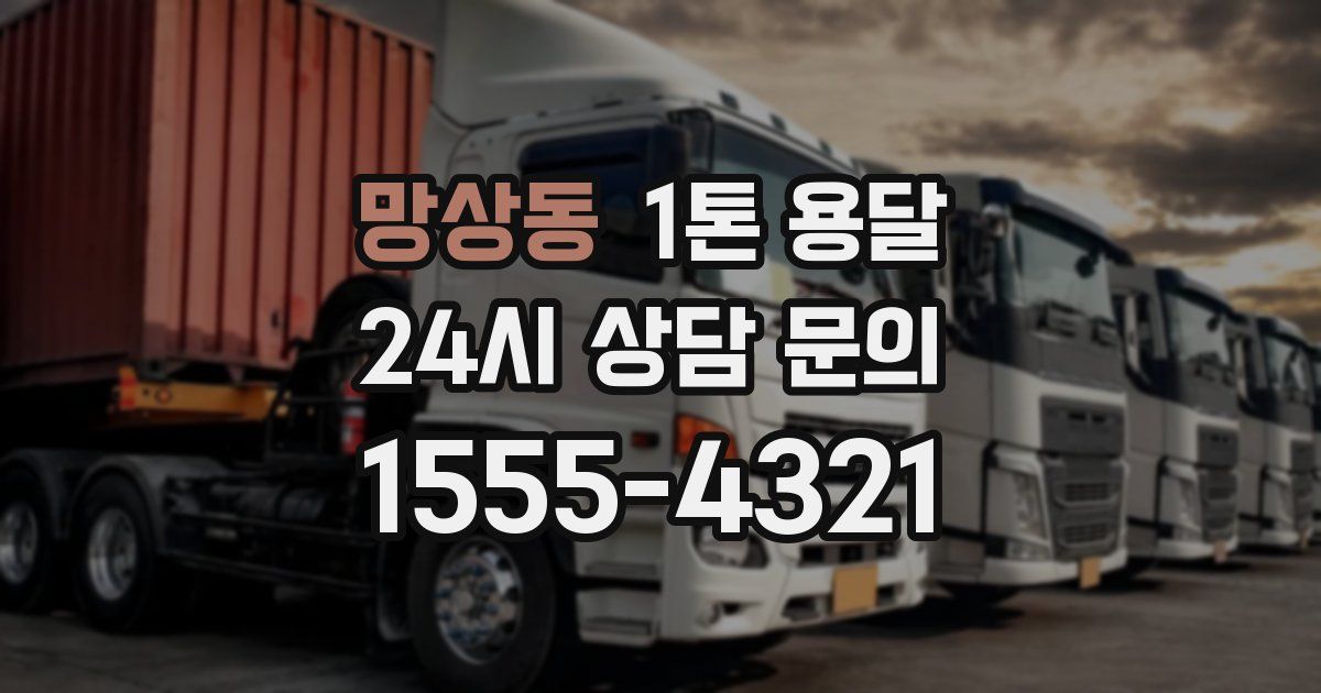 망상동 1톤 용달