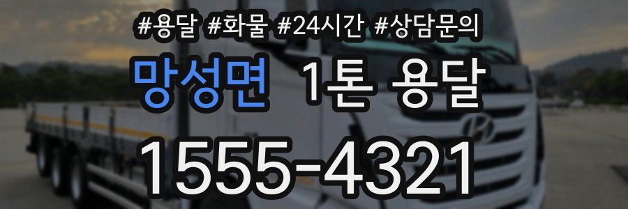 망성면 1톤 용달