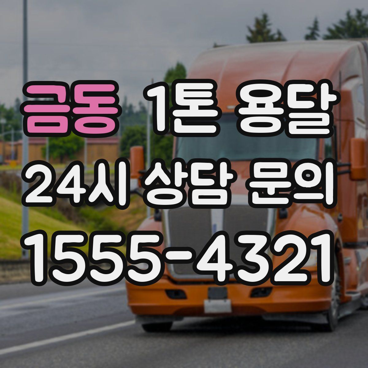 금동 1톤 용달