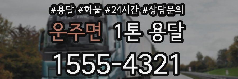 운주면 1톤 용달