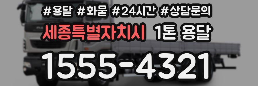 세종특별자치시 1톤 용달