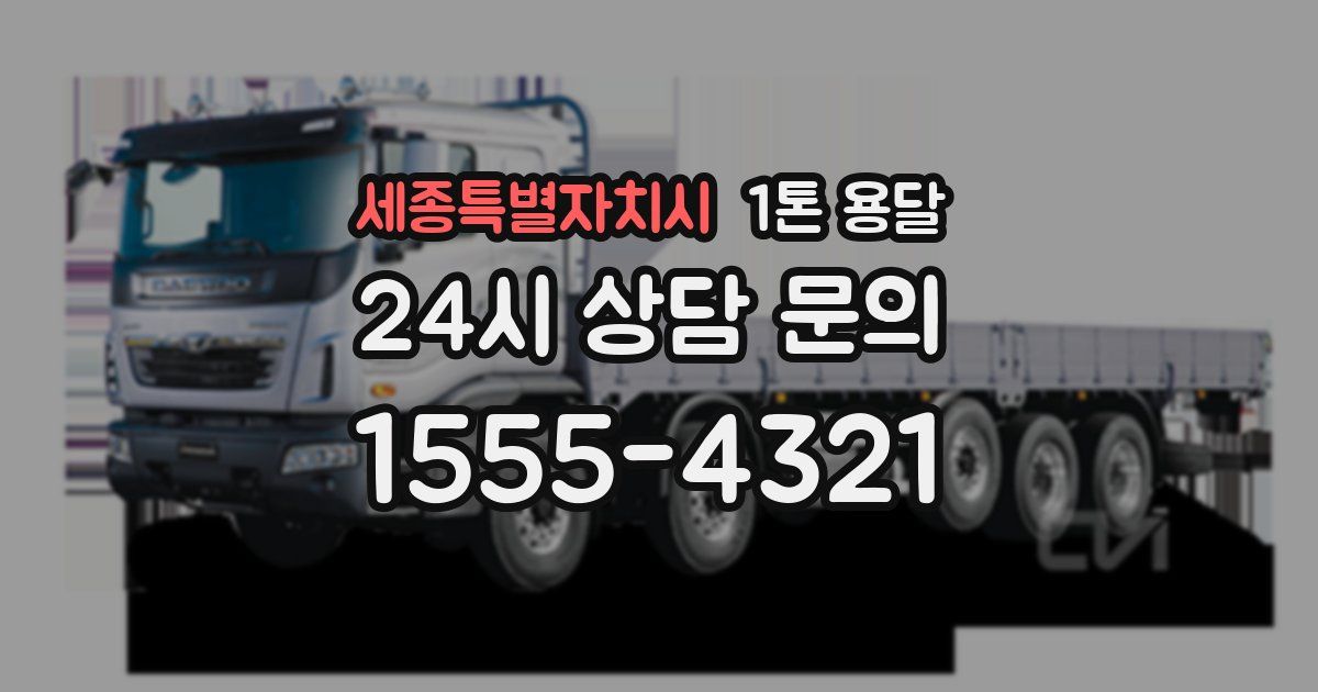 세종특별자치시 1톤 용달