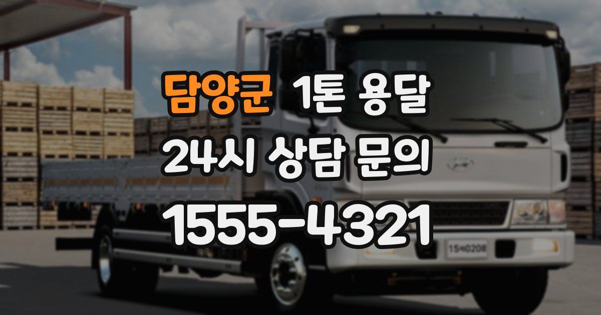 담양군 1톤 용달