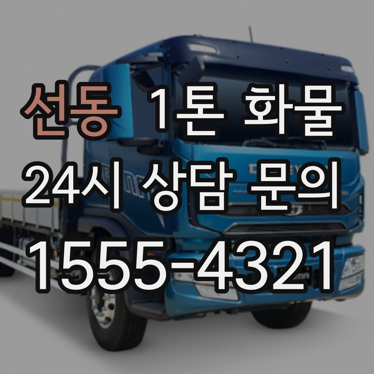 선동 1톤 화물