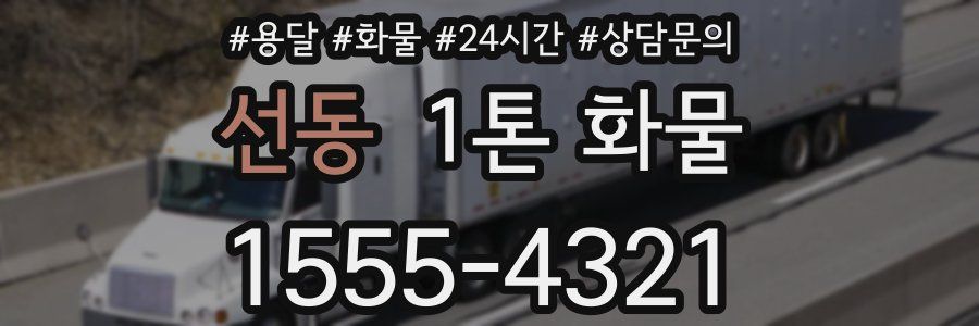 선동 1톤 화물