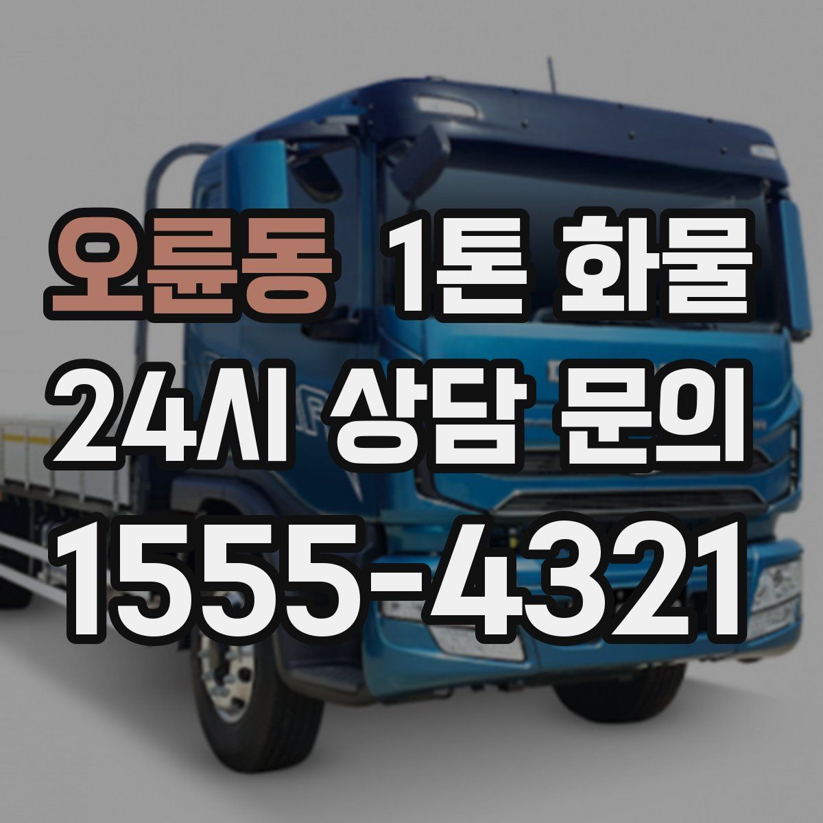 오륜동 1톤 화물