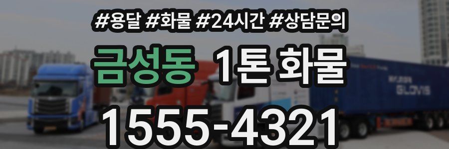 금성동 1톤 화물